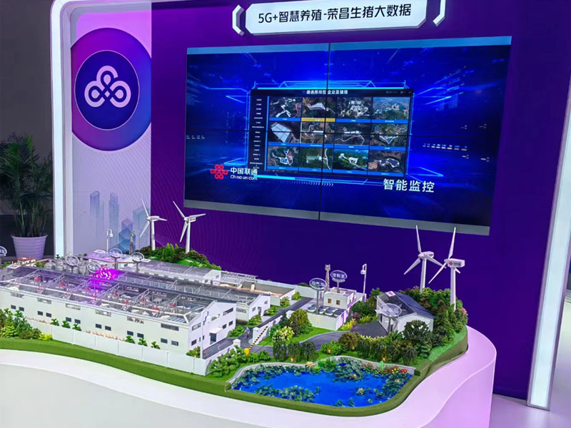 ����ɳ��ģ��,�ǻ���ֳɳ������